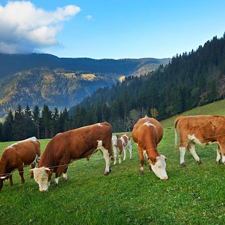 Tourist Farm Kladje Villa Ljubno ภายนอก รูปภาพ