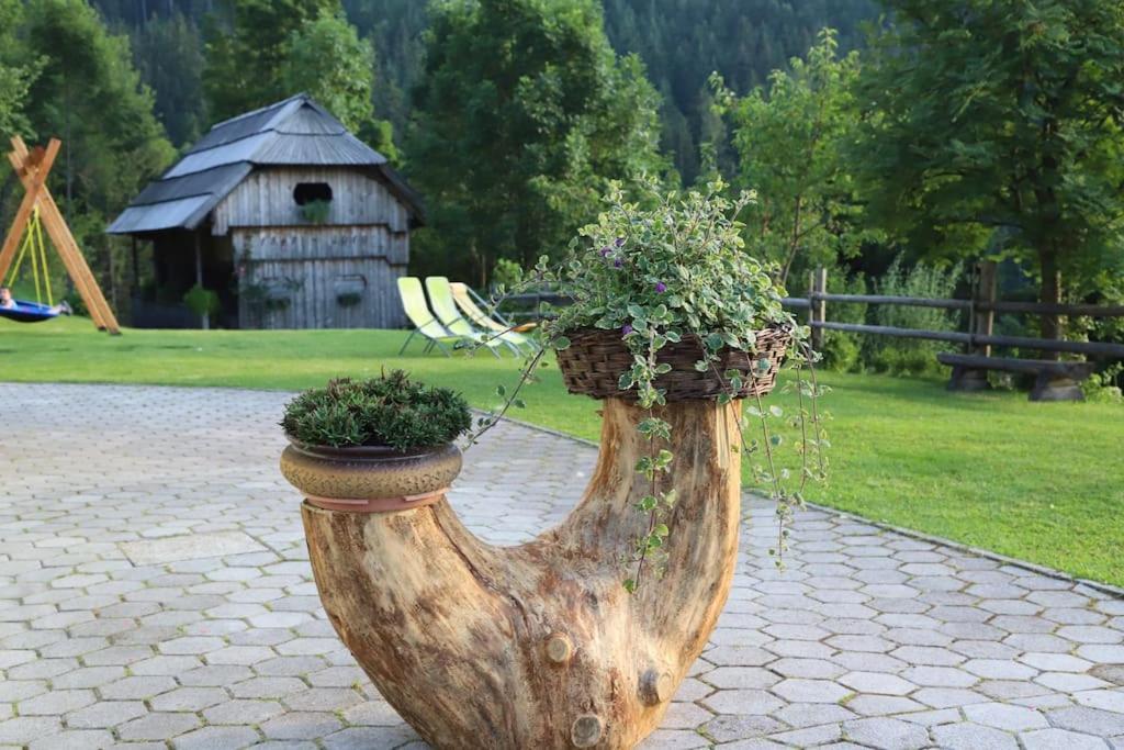 Tourist Farm Kladje Villa Ljubno ภายนอก รูปภาพ