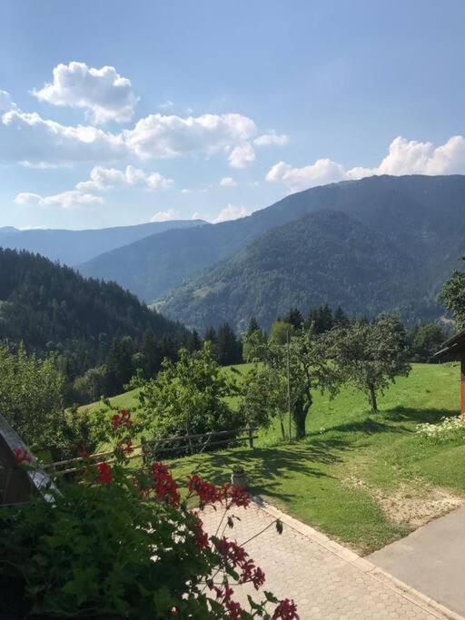 Tourist Farm Kladje Villa Ljubno ภายนอก รูปภาพ