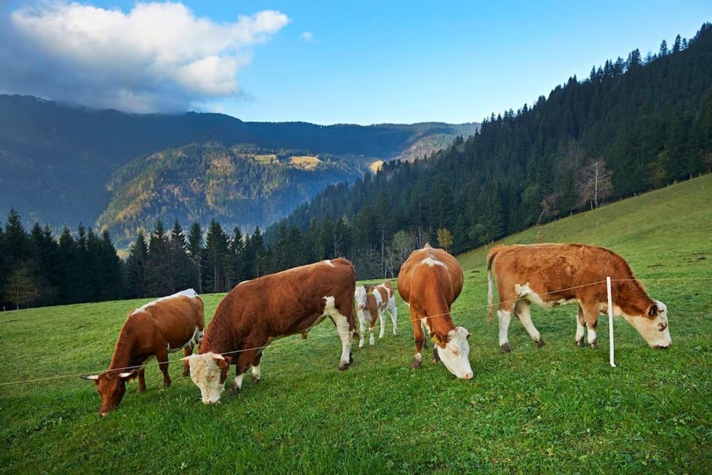 Tourist Farm Kladje Villa Ljubno ภายนอก รูปภาพ