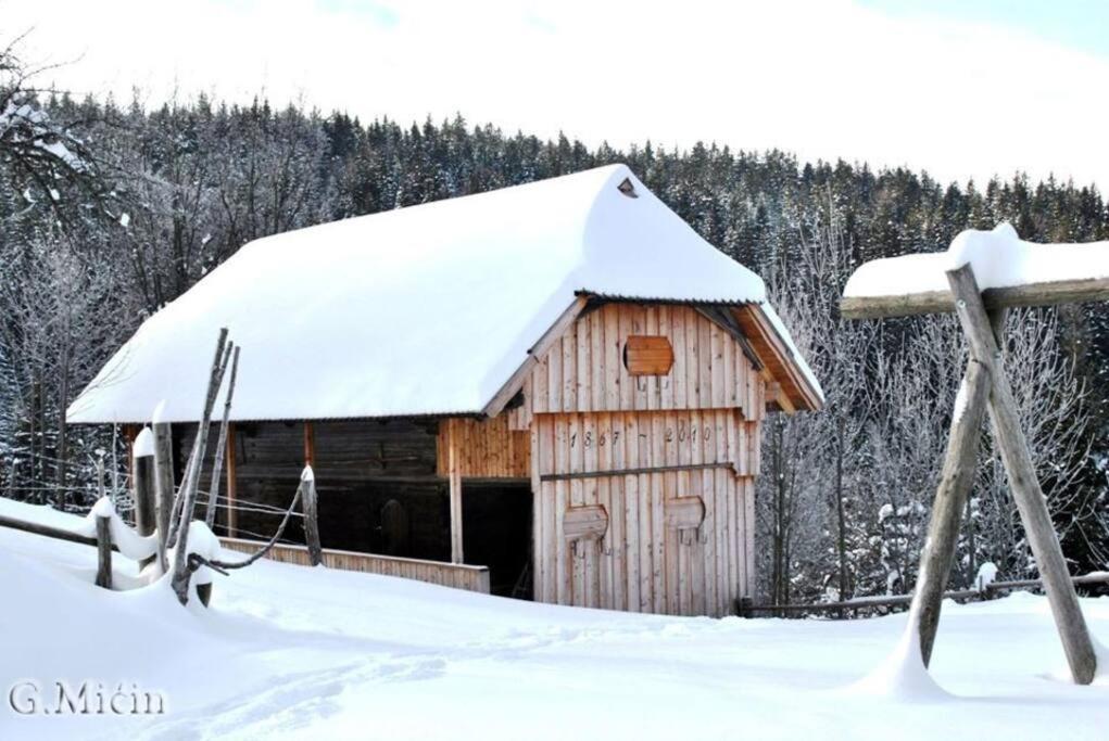 Tourist Farm Kladje Villa Ljubno ภายนอก รูปภาพ