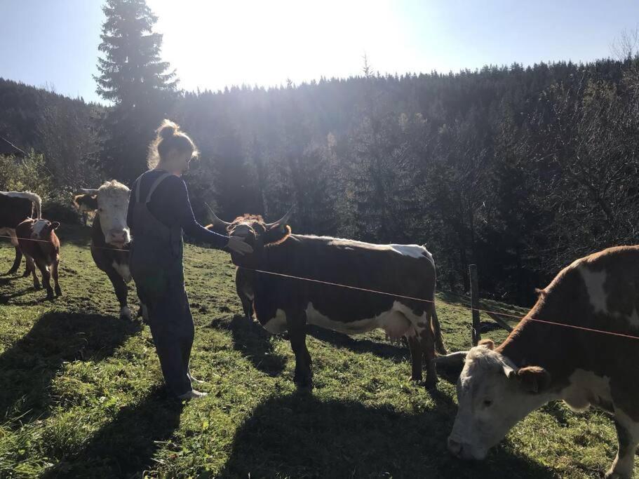 Tourist Farm Kladje Villa Ljubno ภายนอก รูปภาพ