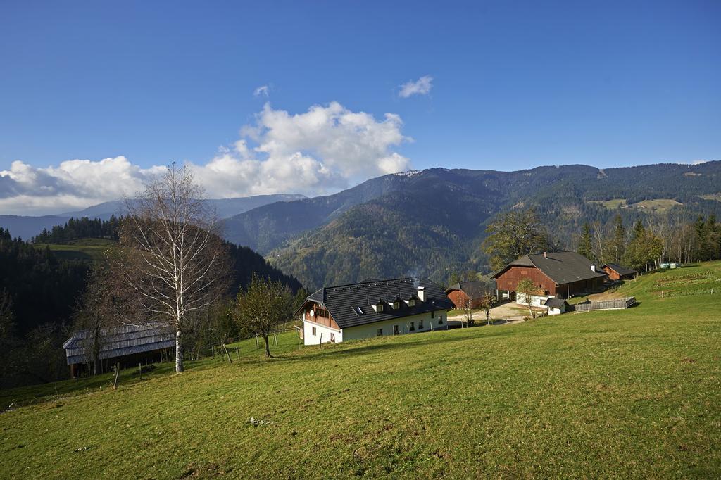 Tourist Farm Kladje Villa Ljubno ภายนอก รูปภาพ