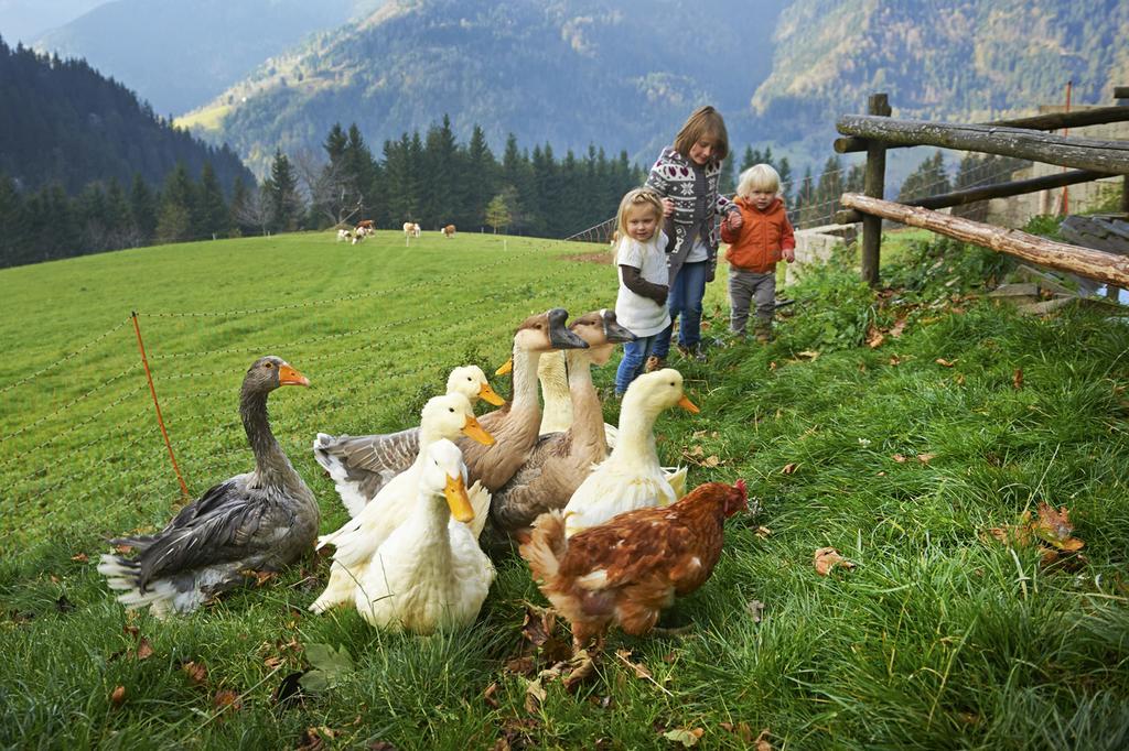 Tourist Farm Kladje Villa Ljubno ภายนอก รูปภาพ